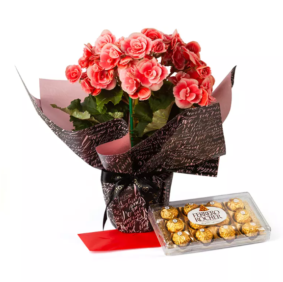 Begônia com Ferrero
